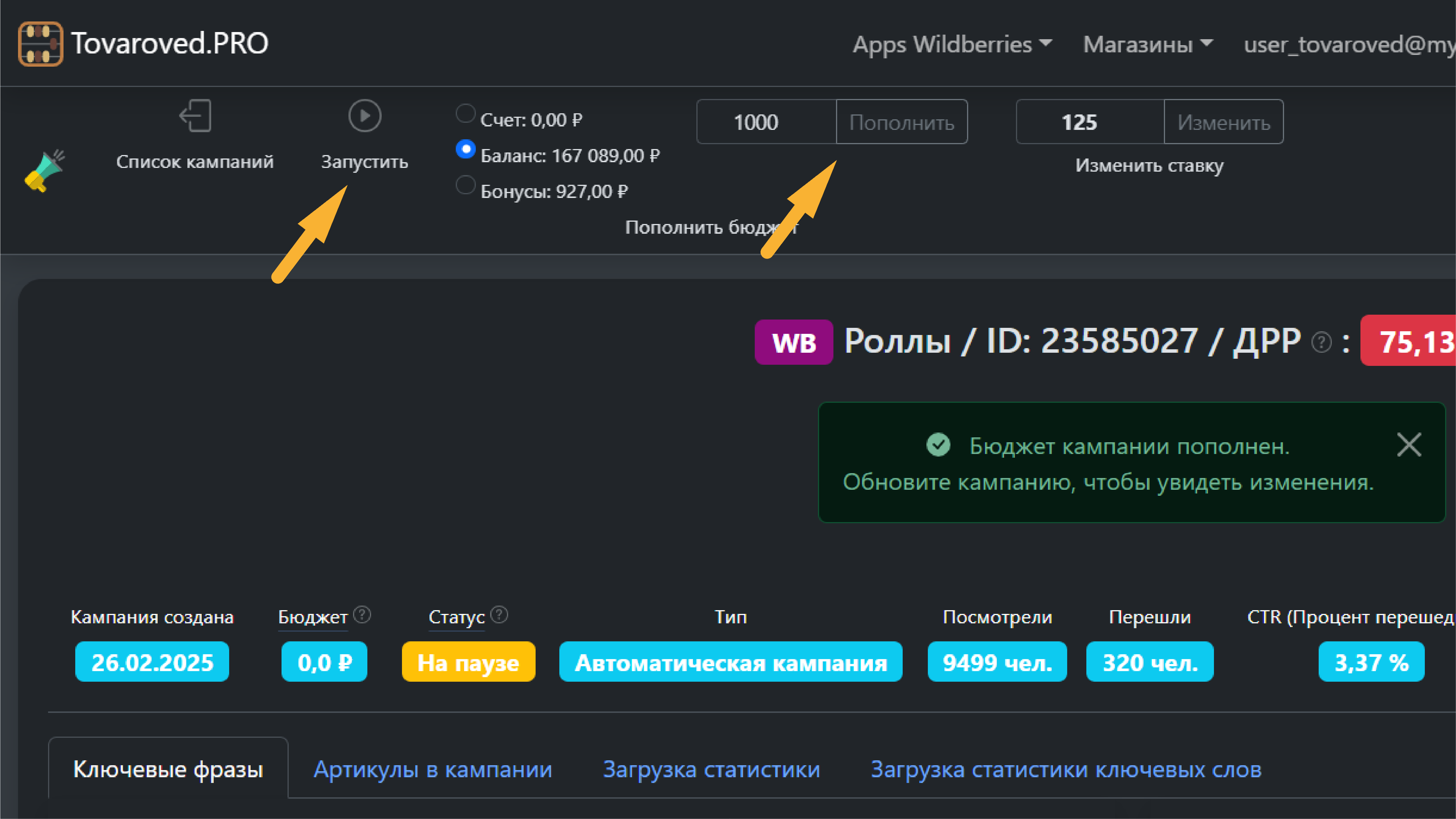 Пополнить бюджет запустить кампанию